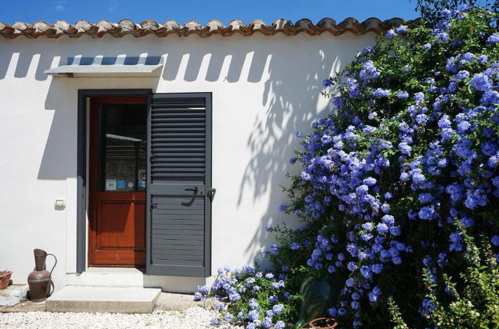 Sedilo Bed & Breakfast | B&B Catedda