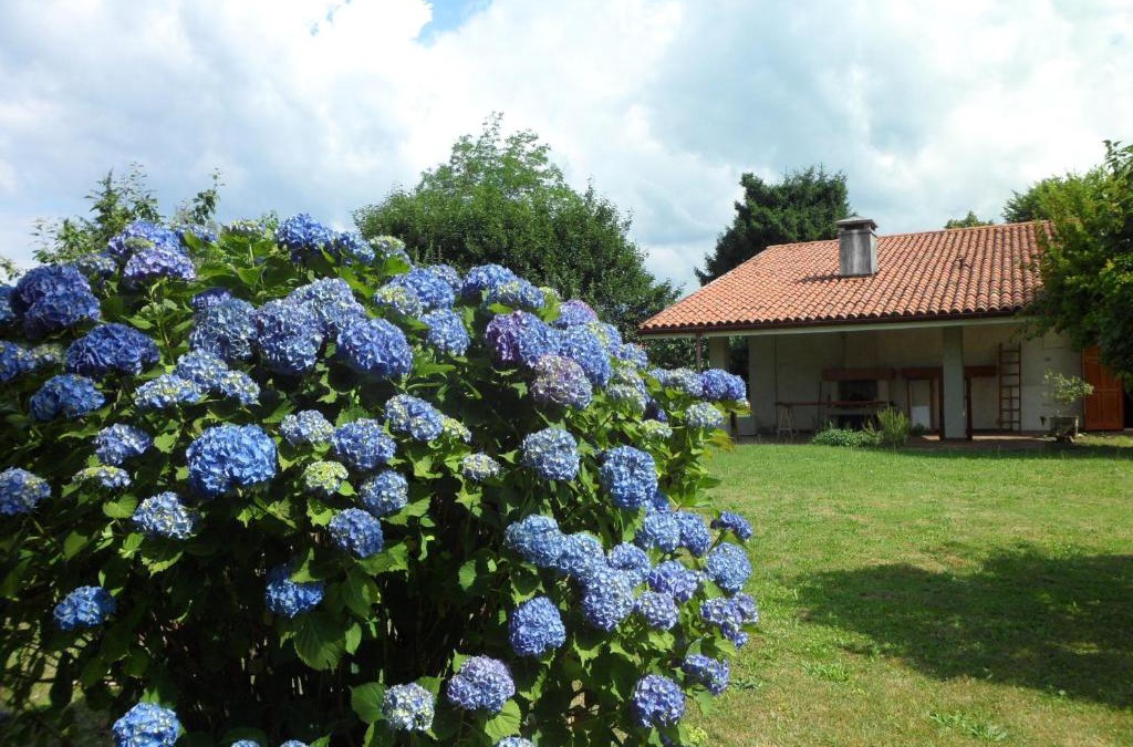 Tricesimo Bed & Breakfast | B&B Cuei di Baret