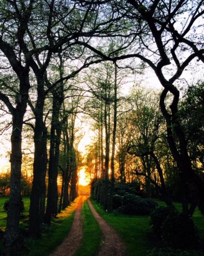 Ureterp Bed & Breakfast | B&B De Mersken