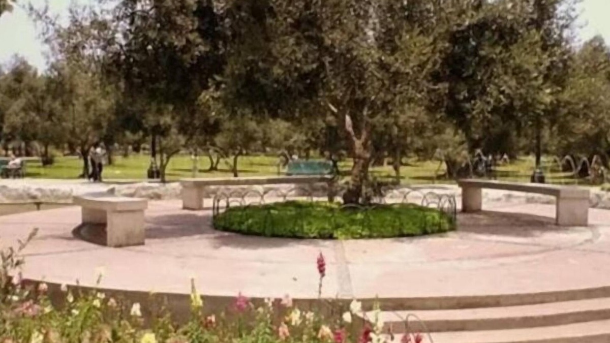 San Isidro Bed & Breakfast | B&B El Olivar