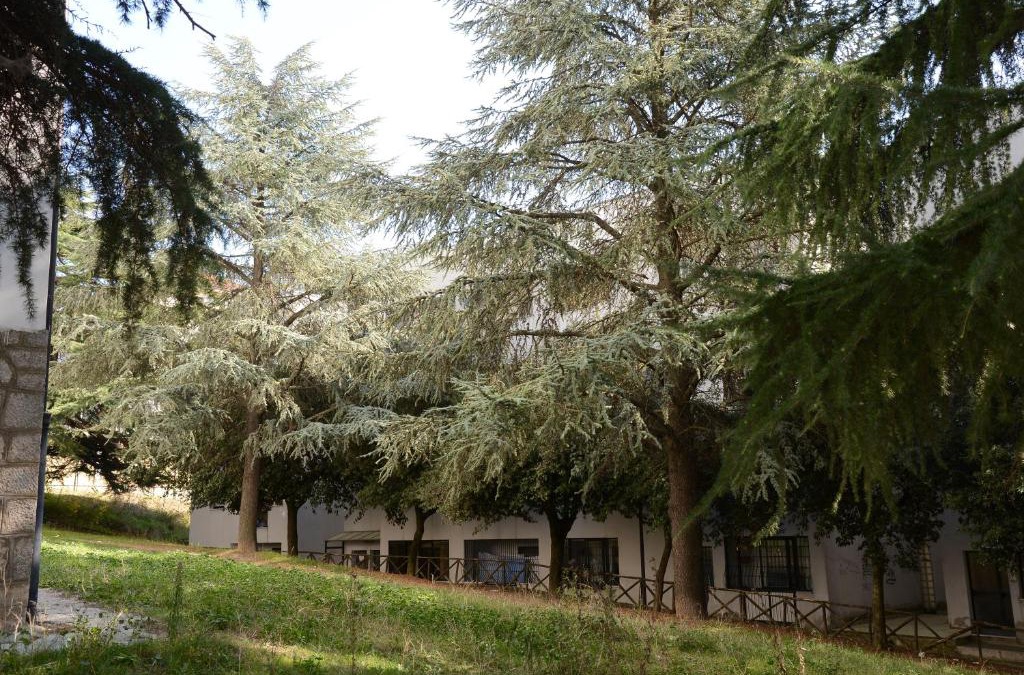 Potenza Bed & Breakfast | B&B Europa