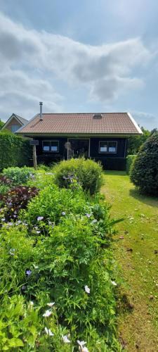 Klaaswaal Apartment | B&B Guesthouse Claeswael