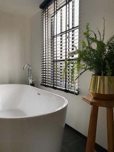 Baak Bed & Breakfast | B&B Het goudklompje