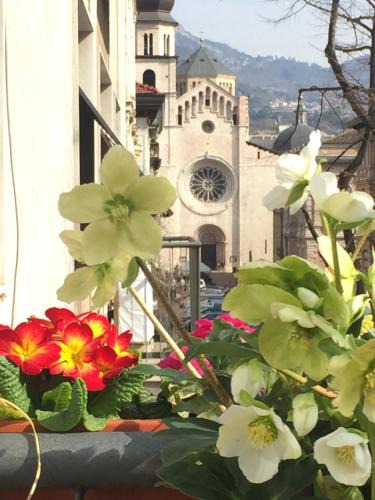 Trento Bed & Breakfast | B&B Homer Trento