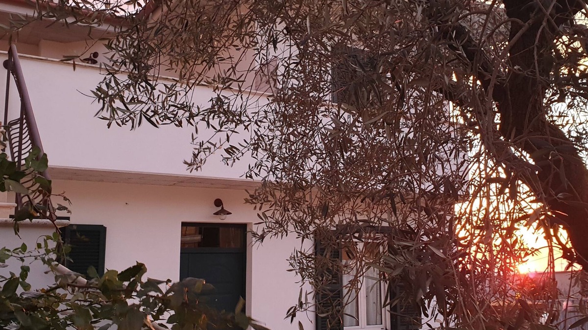 Rocca Massima Bed & Breakfast | B&B Il Falco e l'Ulivo