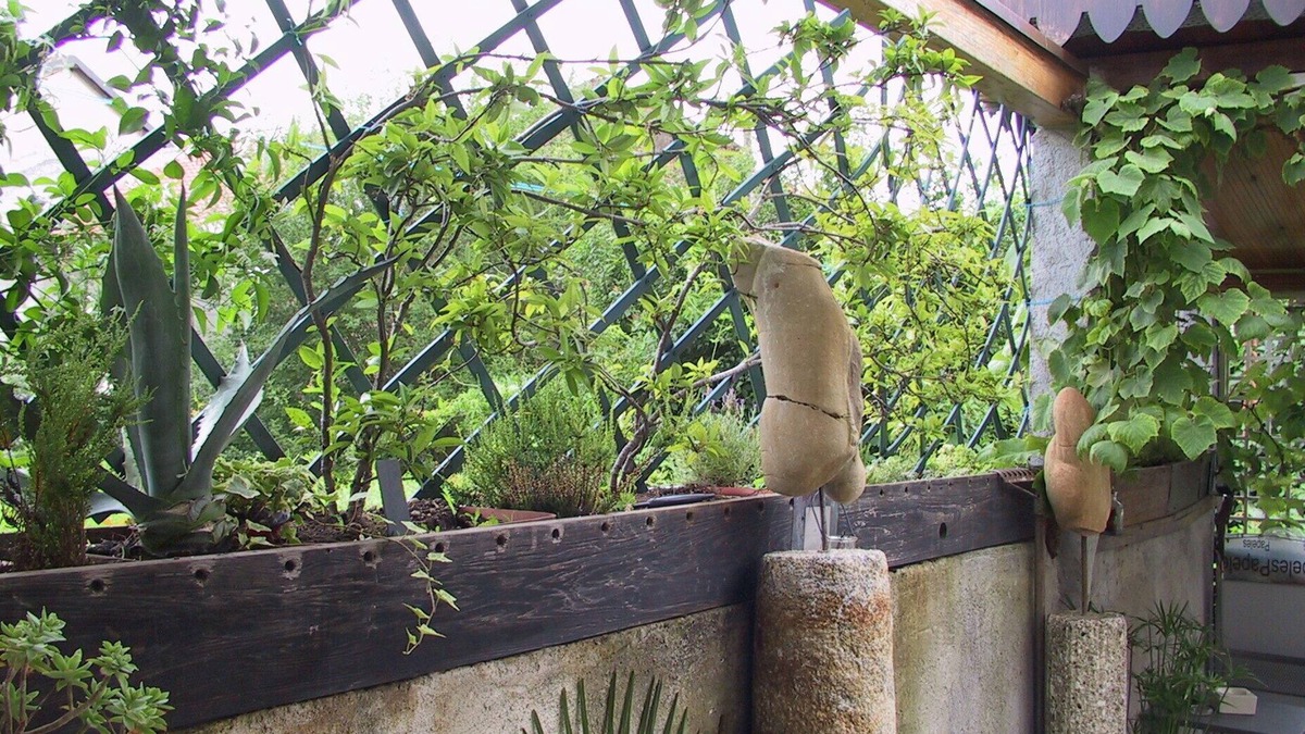 Turate Bed & Breakfast | B&B Il Rustico