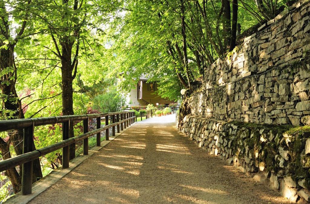 Vignola-Falesina Bed & Breakfast | B&B il Sambuco