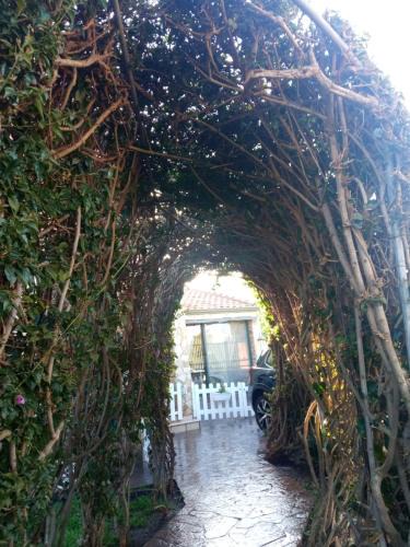 San Sperate Bed & Breakfast | B&B Il Sentiero