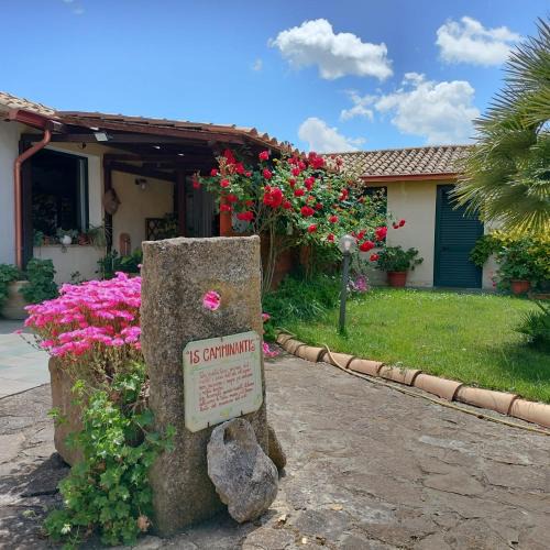 Nurallao Bed & Breakfast | B&B Is Camminantis
