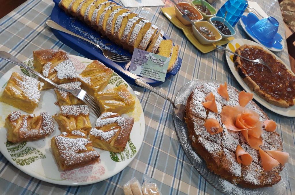 Casina Bed & Breakfast | B&B L'uva Fragolina