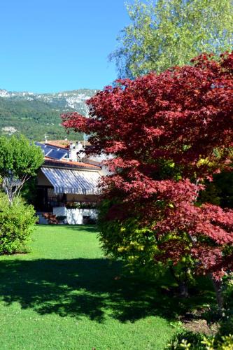 Sasso House | B&B La Betulla