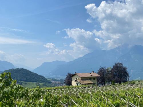 Martignano Bed & Breakfast | B&B La Casa in Collina