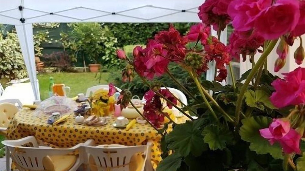 Dalmine Bed & Breakfast | B&B La Delice