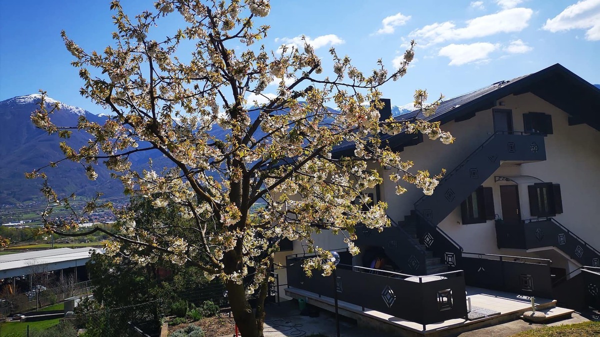 Darfo Boario Terme Bed & Breakfast | B&B La Mela - Accoglienza Emiliana in Val Camonica