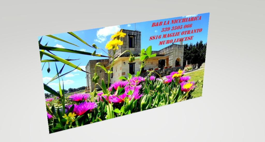 Muro Leccese Bed & Breakfast | B&B La Nicchiarica