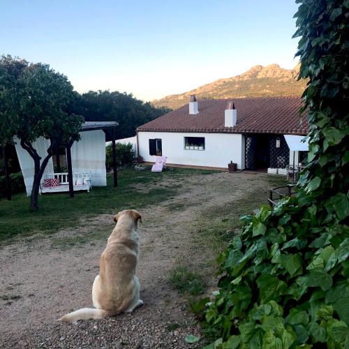 Aggius Bed & Breakfast | B&B La Tasgia