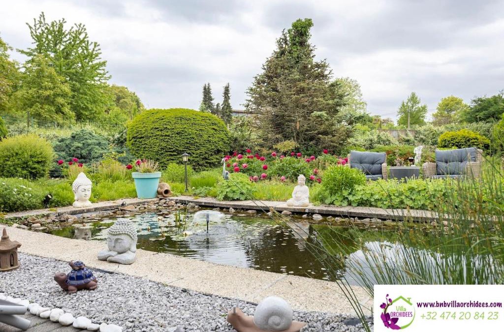 Bassenge House | B&b La Villa Orchidées, breakfast included