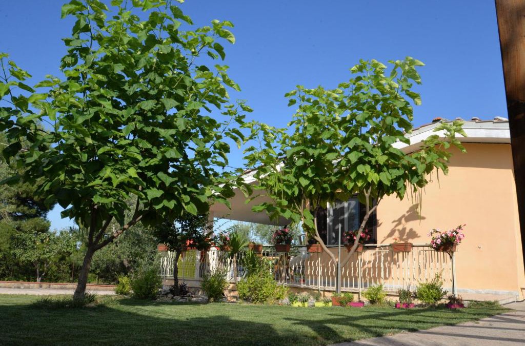 Corato Bed & Breakfast | B&B Lara Santola