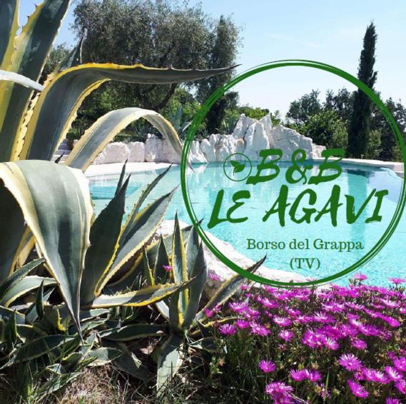 Semonzo Bed & Breakfast | B&B LE AGAVI