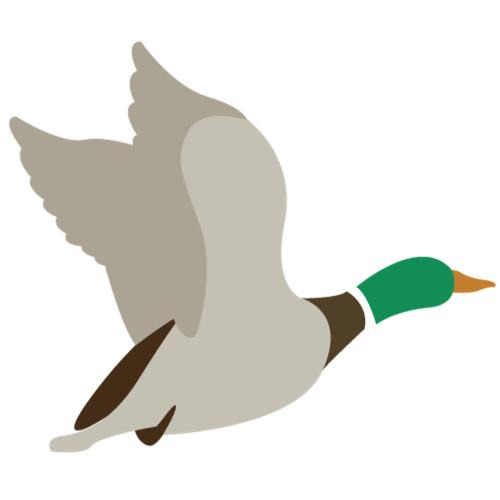 Ravenna Bed & Breakfast | B&B Le Col-vert