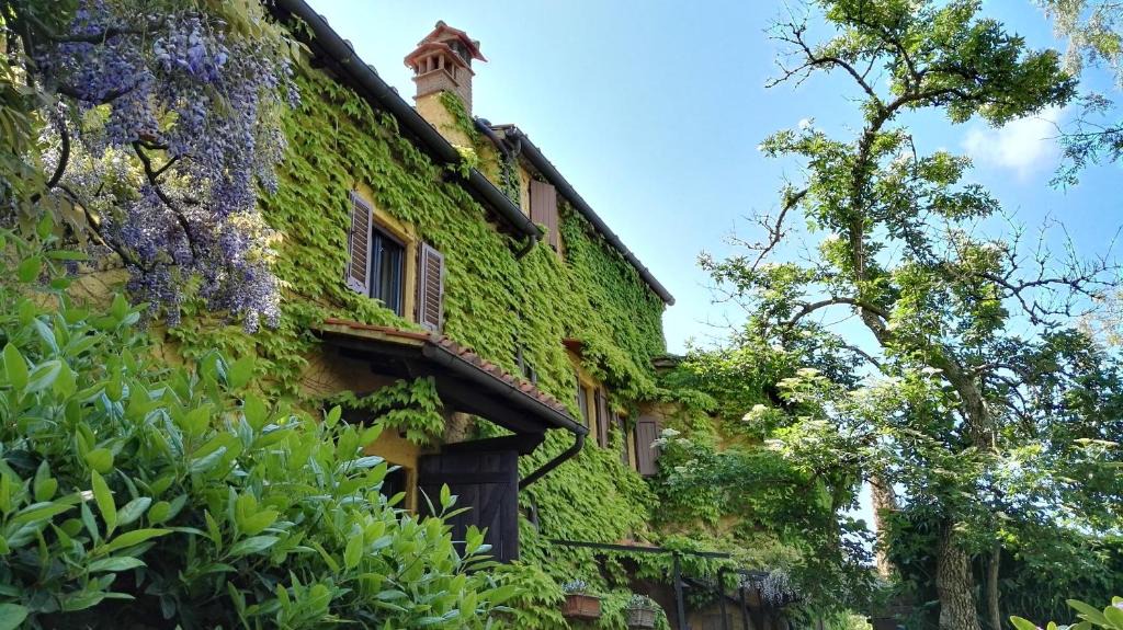 Molezzano Bed & Breakfast | B&B Le Due Volpi