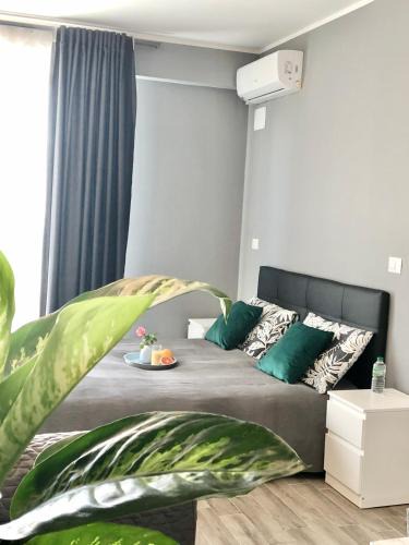 Cassino Bed & Breakfast | B&B Le Palme