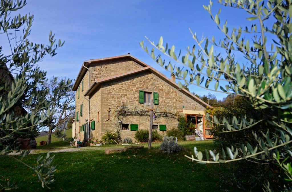 Premilcuore Bed & Breakfast | B&B Luna e Stelle