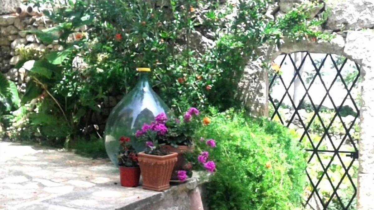 Alessano Bed & Breakfast | B&B Masseria delle rose 1760