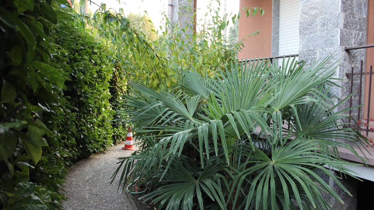 Castano Primo Bed & Breakfast | B&B Milano Malpensa 1