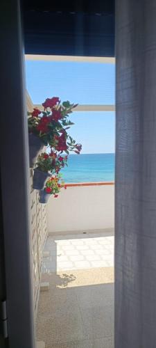 Specchiarica Bed & Breakfast | B&B Miramare