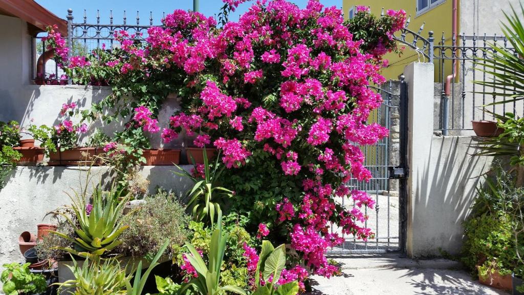 Mandas Bed & Breakfast | B&B Mitzixeddas