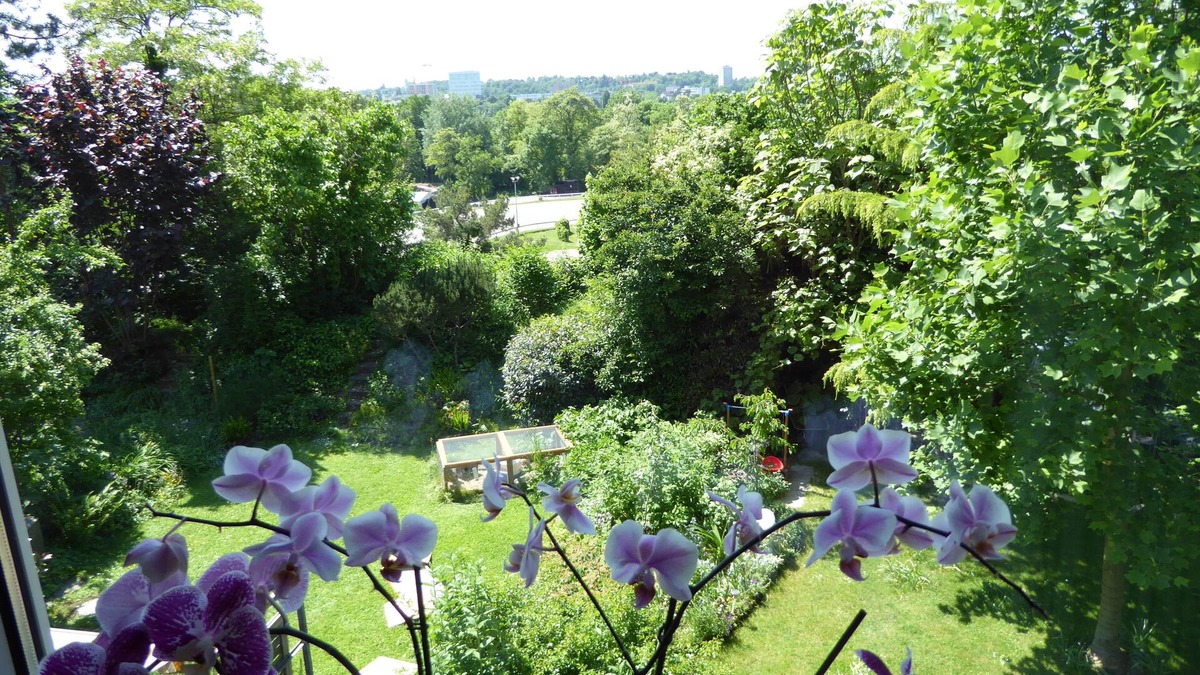 Muttenz Bed & Breakfast | B&B Pappelweg - 2