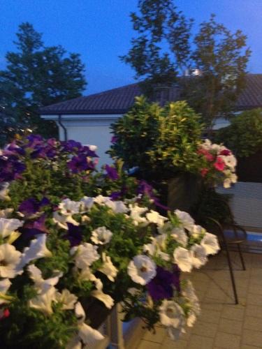 Lavino Di Mezzo Bed & Breakfast | B&B Pitstop