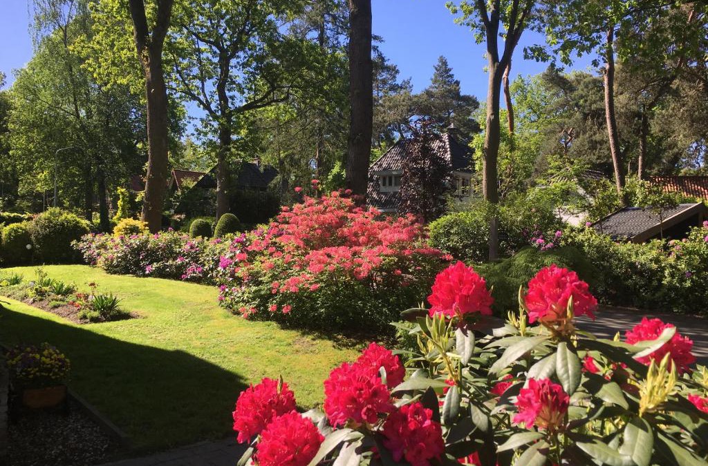 Municipality of Ermelo Bed & Breakfast | B&B Porcini