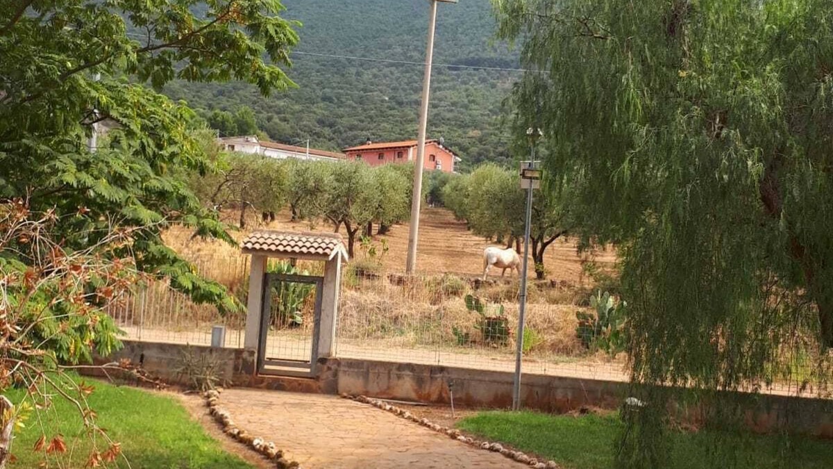Puglia Bed & Breakfast | B&B Porta del Gargano