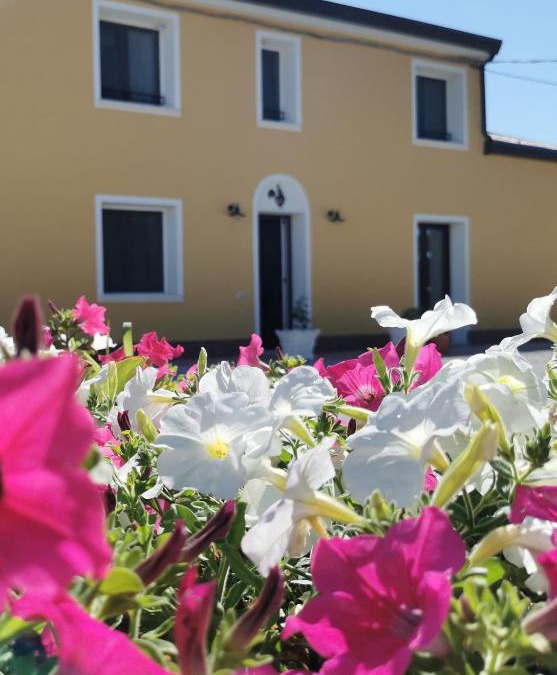 Tresigallo Bed & Breakfast | B&B Riva del Gallo