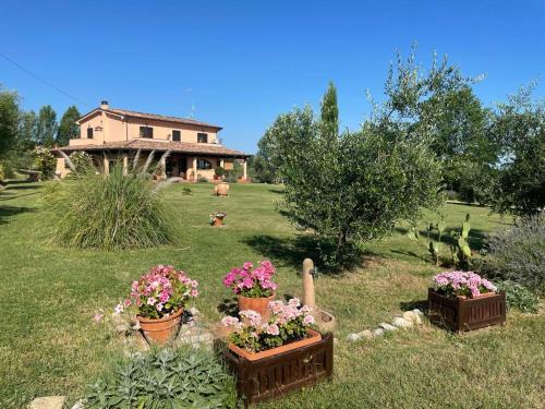 Coriano Bed & Breakfast | B&B Rosaverde