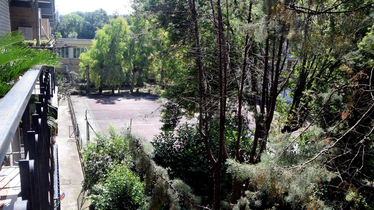Treglia Bed & Breakfast | B&B Royal Reggia di Caserta