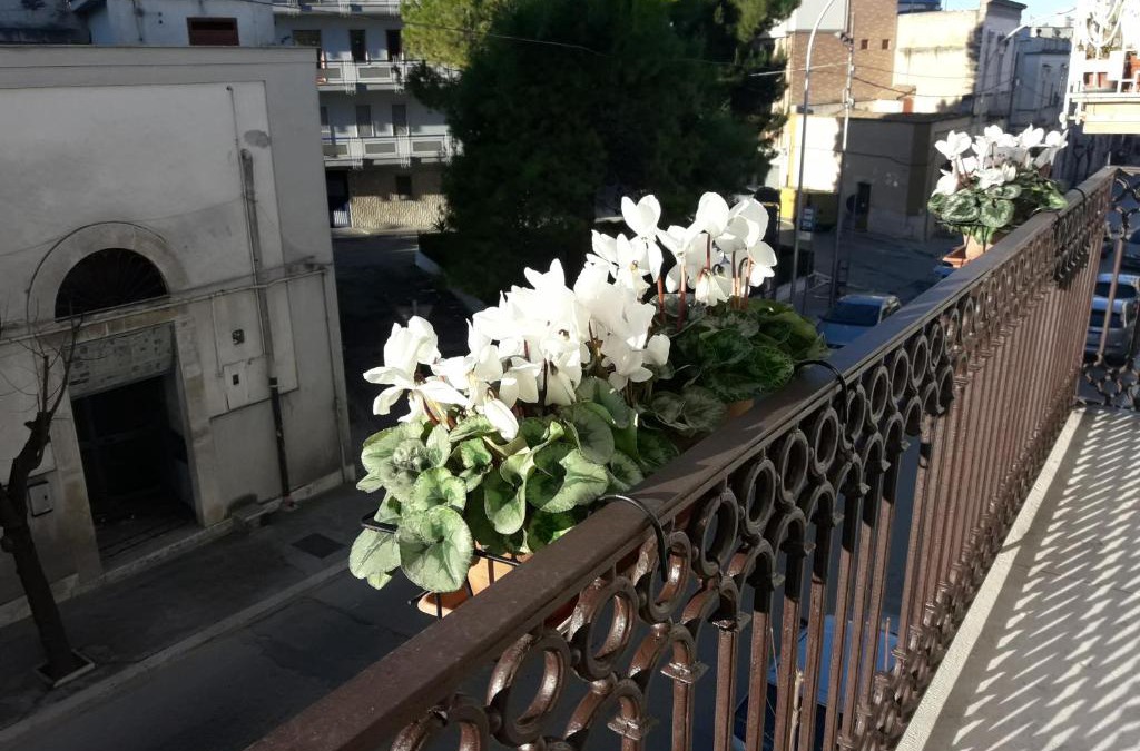Canosa di Puglia Bed & Breakfast | B&B Saffi