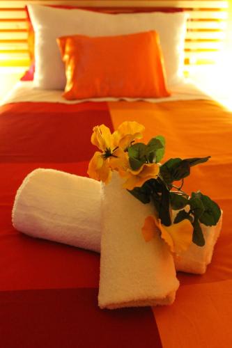 Ognina Bed & Breakfast | B&B Scirocco D'Africa
