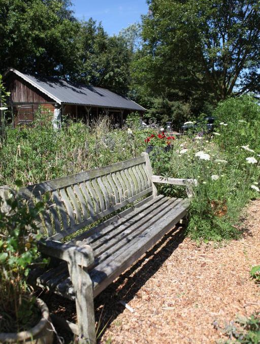 Wijnjewoude Bed & Breakfast | B&B 't Wijnjeterper Schar