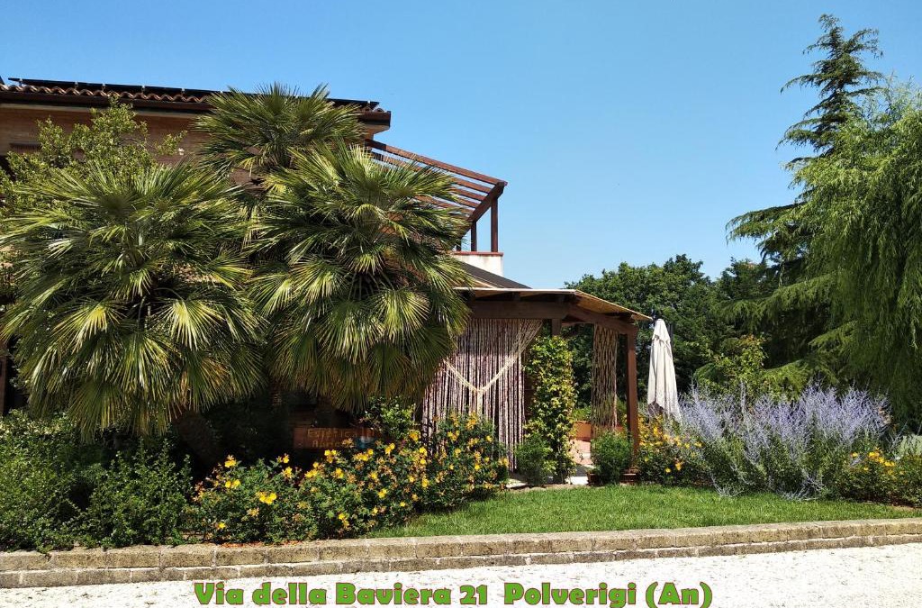Polverigi Bed & Breakfast | B&B Timeout