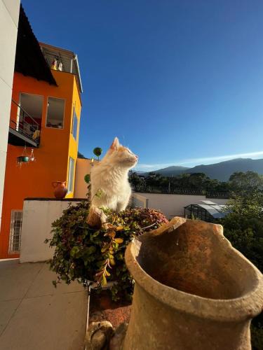 Choachi Bed & Breakfast | B&B - Trekking y Senderismo