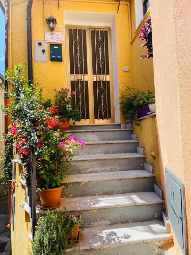 Viggianello Bed & Breakfast | B&B Via Roma