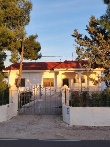 Province of Lecce Bed & Breakfast | B&B Villa VITTORIO