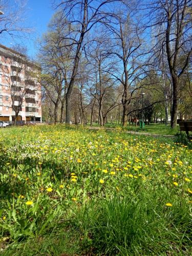 Buon Pastore-Sant'Agnese-San Damaso Apartment | B&B Wiligelmo INTERO APPARTAMENTO con colazione inclusa