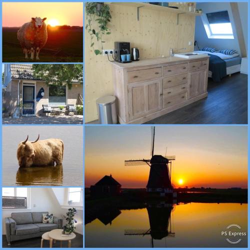Municipality of Texel Bed & Breakfast | B&B Zonnedael