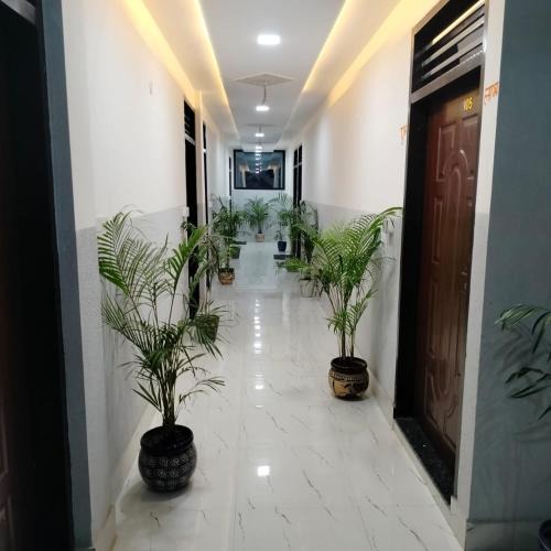 Agra House | B D Resort