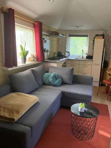 Steendam Bed & Breakfast | B en B Op Steendam, Tuinkamer onder de appelboom