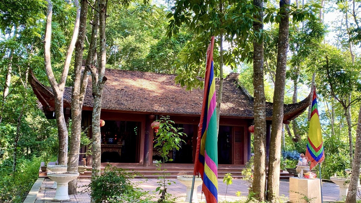 Nam Mau Hotel | Ba Be Lakeside Bungalow